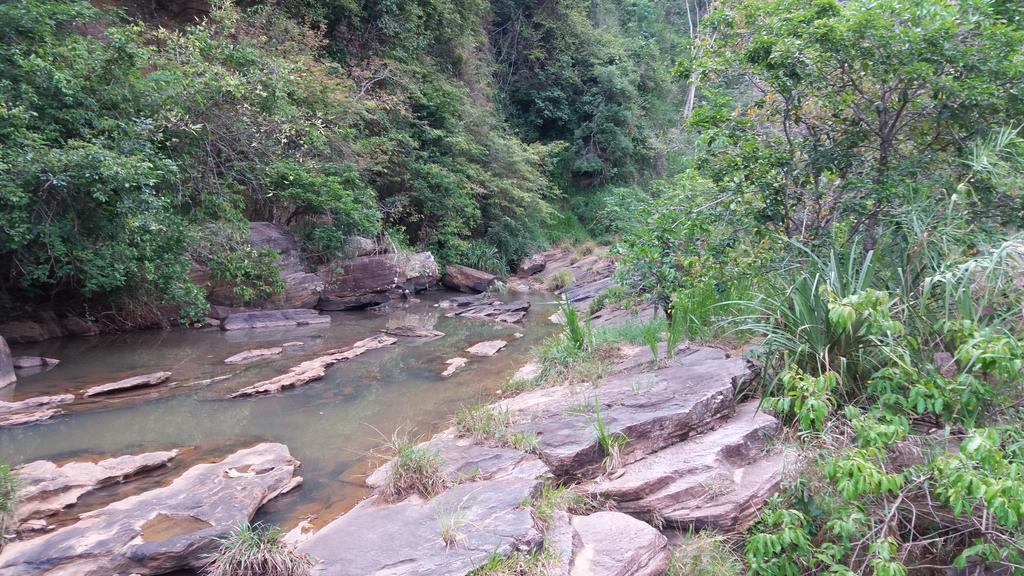 康提Tea Leaf Retreat公寓 外观 照片