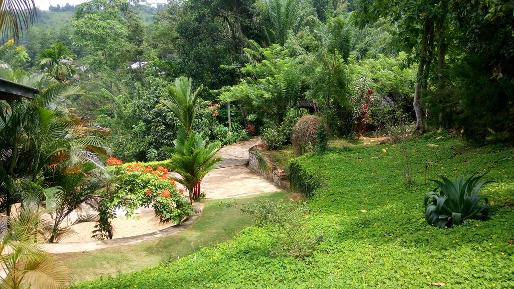 康提Tea Leaf Retreat公寓 外观 照片