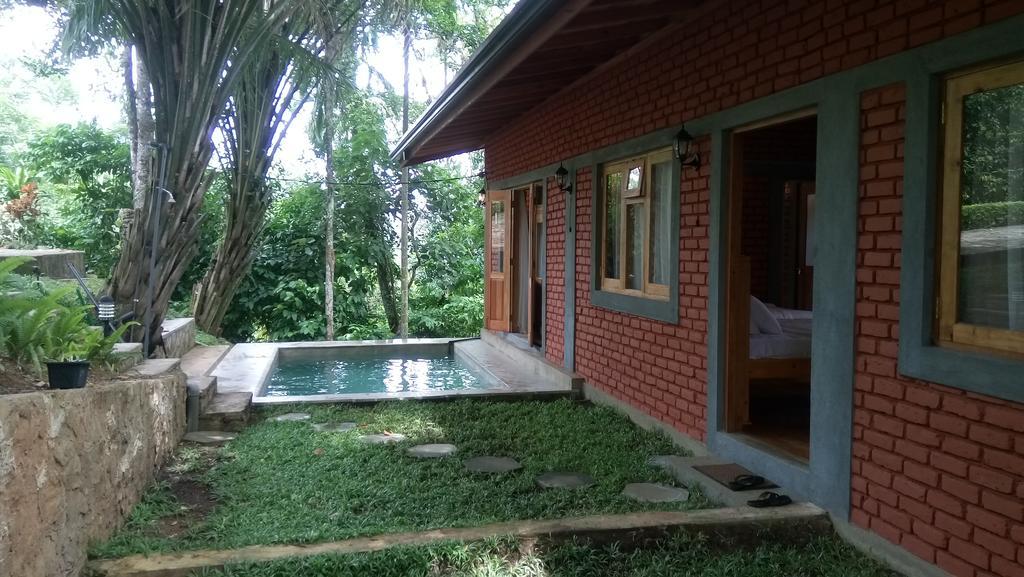 康提Tea Leaf Retreat公寓 外观 照片