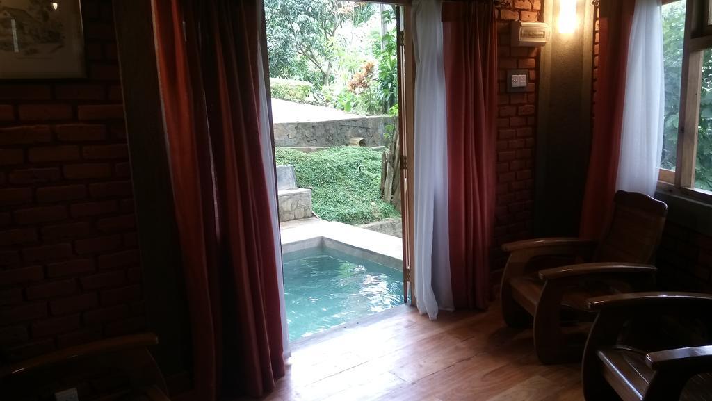 康提Tea Leaf Retreat公寓 外观 照片