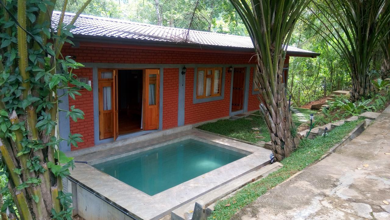 康提Tea Leaf Retreat公寓 外观 照片