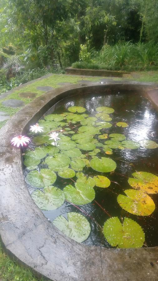 康提Tea Leaf Retreat公寓 外观 照片