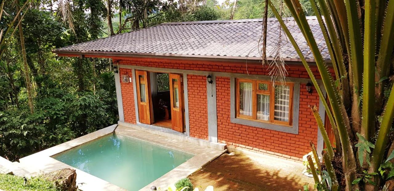 康提Tea Leaf Retreat公寓 外观 照片