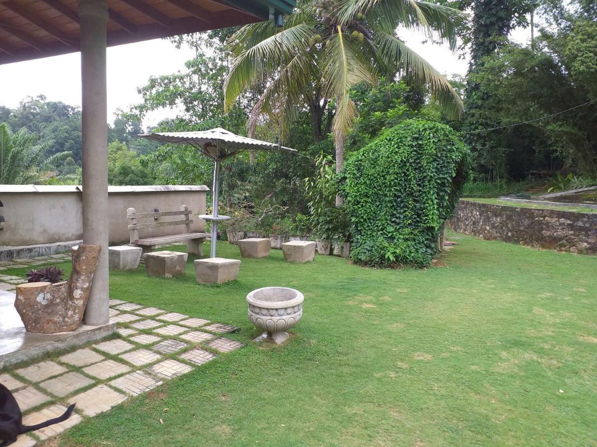 康提Tea Leaf Retreat公寓 外观 照片