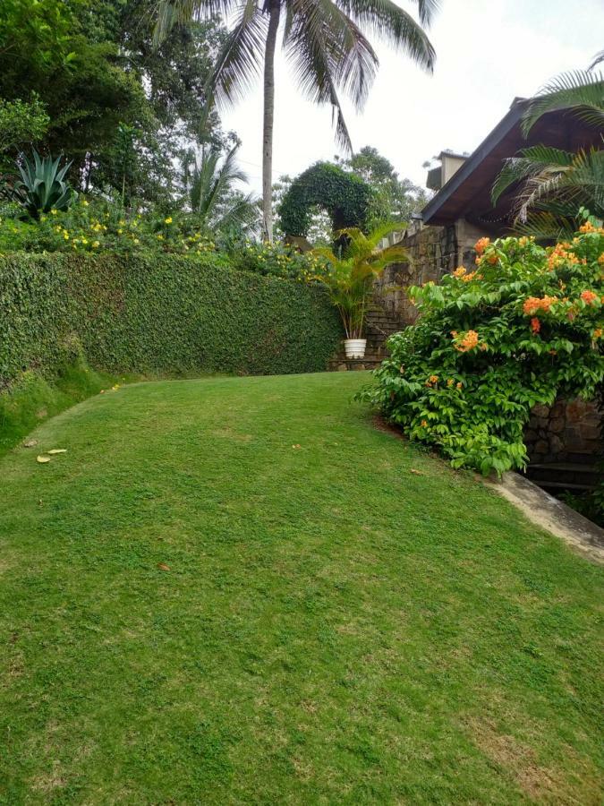 康提Tea Leaf Retreat公寓 外观 照片